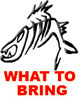 What to bring